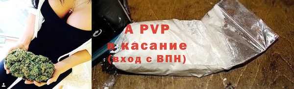 тгк Бикин