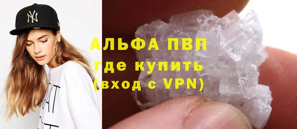 спайс Нея