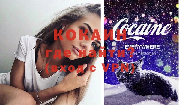 спайс Нея