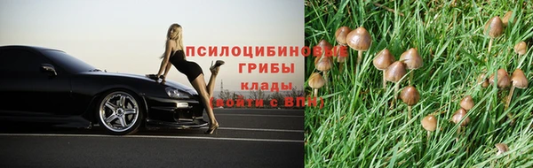 винт Нефтегорск