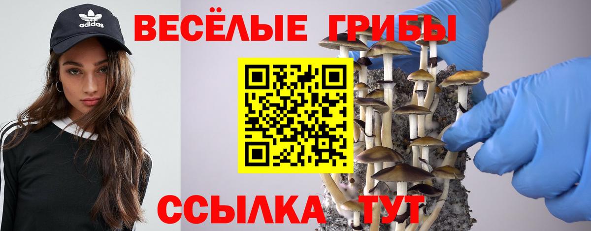Галлюциногенные грибы MAGIC MUSHROOMS Татарск
